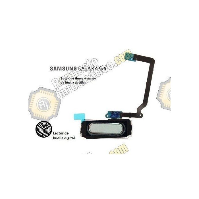 Boton Inicio Home Samsung Galaxy S5, Sensor Huellas, Flex (BLANCO)