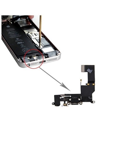 Flex de Carga iPhone SE