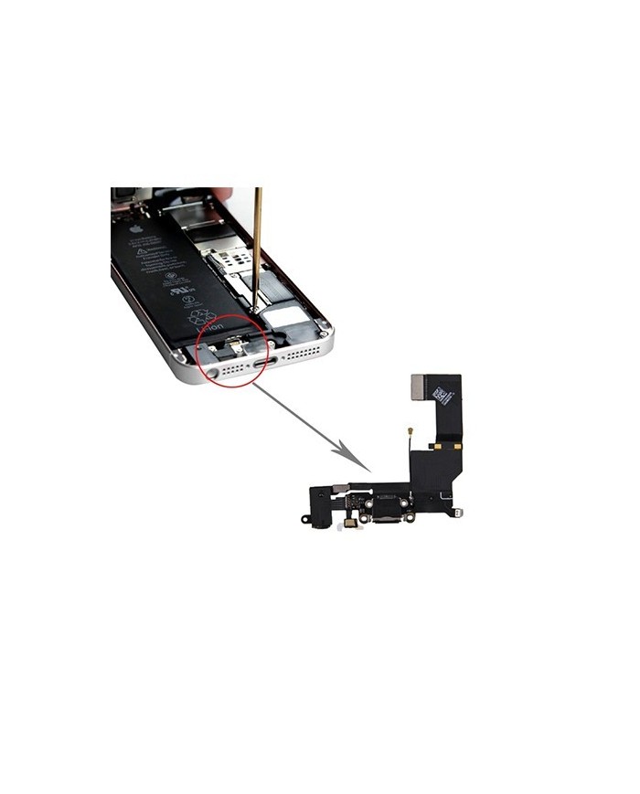Flex de Carga iPhone SE
