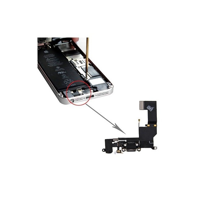 Flex de Carga iPhone SE