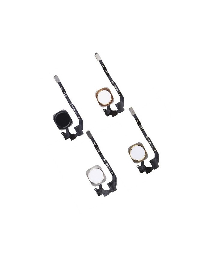 Flex y Botón Home iPhone SE