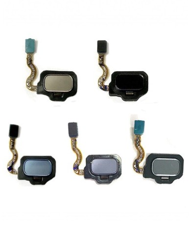 Flex Botón Huella Dactilar Trasero para Samsung Galaxy S8 G950F