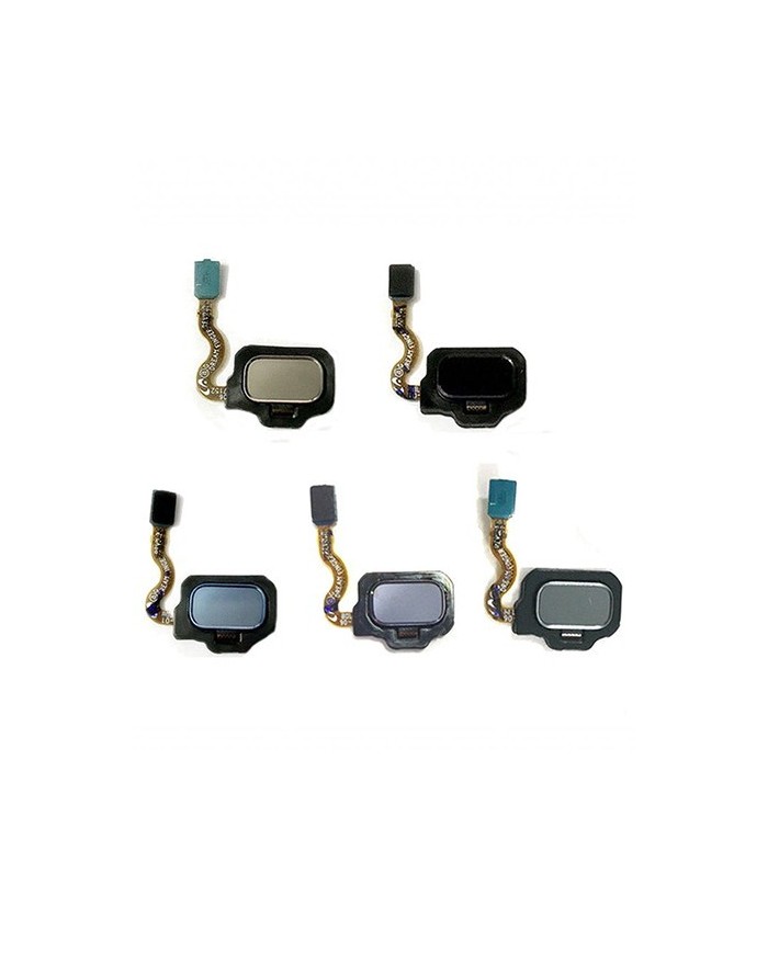 Flex Botón Huella Dactilar Trasero para Samsung Galaxy S8 G950F