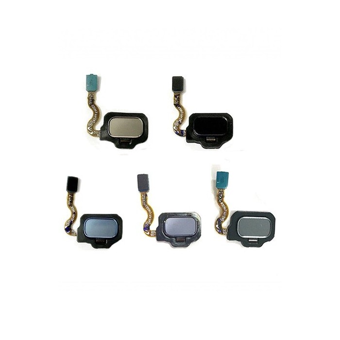 Flex Botón Huella Dactilar Trasero para Samsung Galaxy S8 G950F