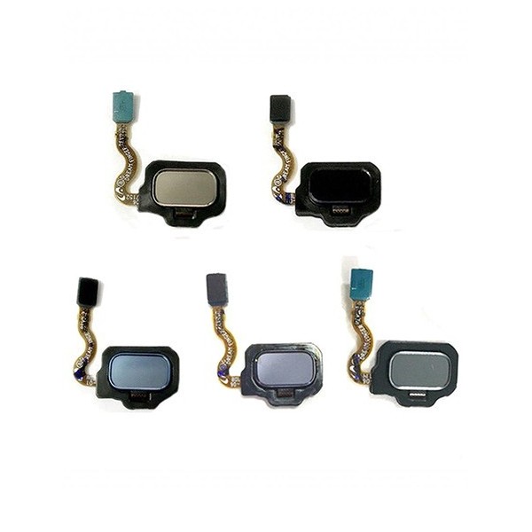 Flex Botón Huella Dactilar Trasero para Samsung Galaxy S8 G950F