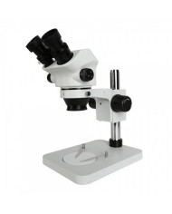 Microscópio Estereoscópico Binocular