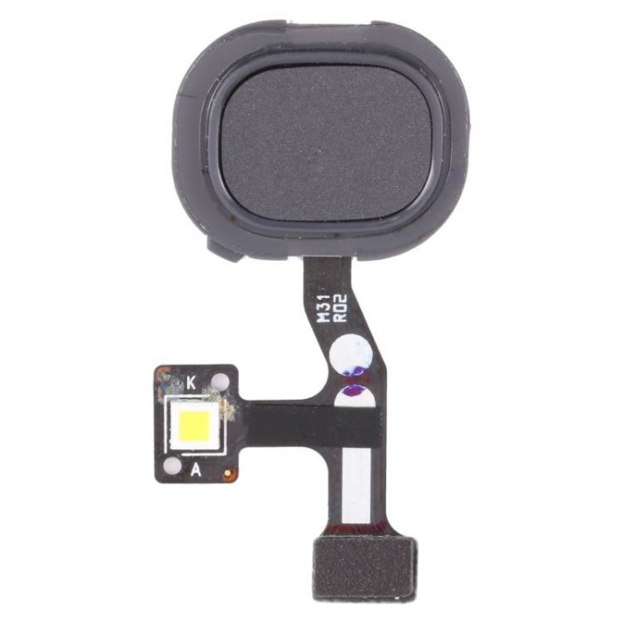 Flex Lector de Huella Dactilar para Samsung Galaxy M31, M315