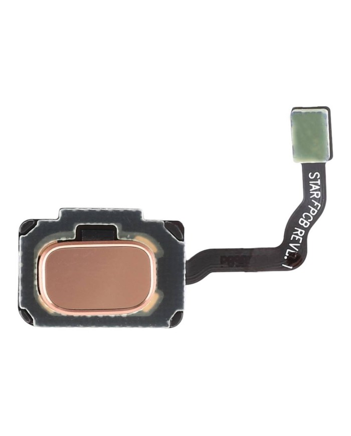 Flex Lector Huella Dactilar Samsung Galaxy S9 G960 S9 Plus G965 Dorado