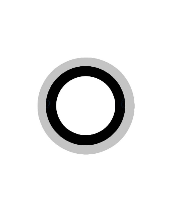 Lente de Camara Trasera Xiaomi MI 11 (M2011K2G)