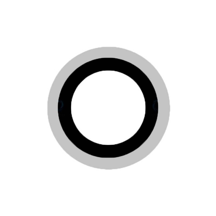 Lente de Camara Trasera Xiaomi MI 11 (M2011K2G)