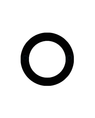 Comprar Lente de Camara Trasera para OnePlus Nord 2