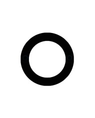 Comprar Lente de Camara Trasera para OnePlus Nord 2