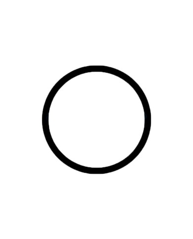 Lente Camara Trasera Oppo F3