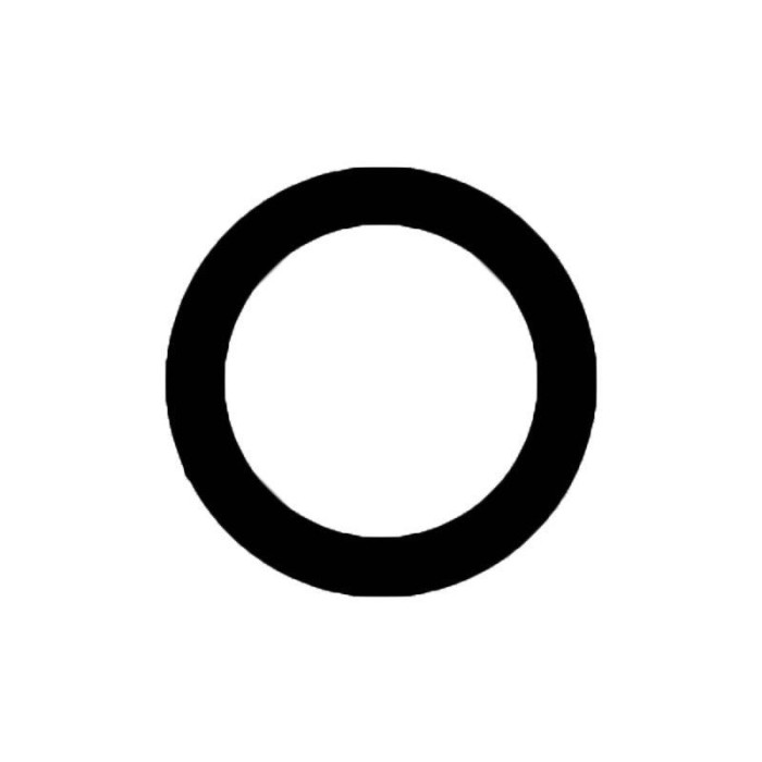 Comprar Lente de Camara Trasera (Mediana) iPhone 13 Pro