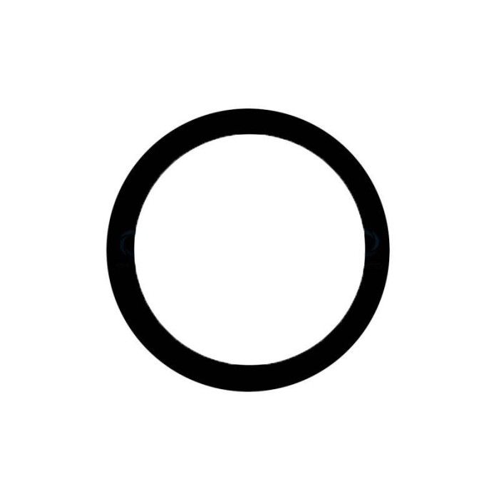 Comprar Lente Camara Trasera (Pequeña) iPhone 13