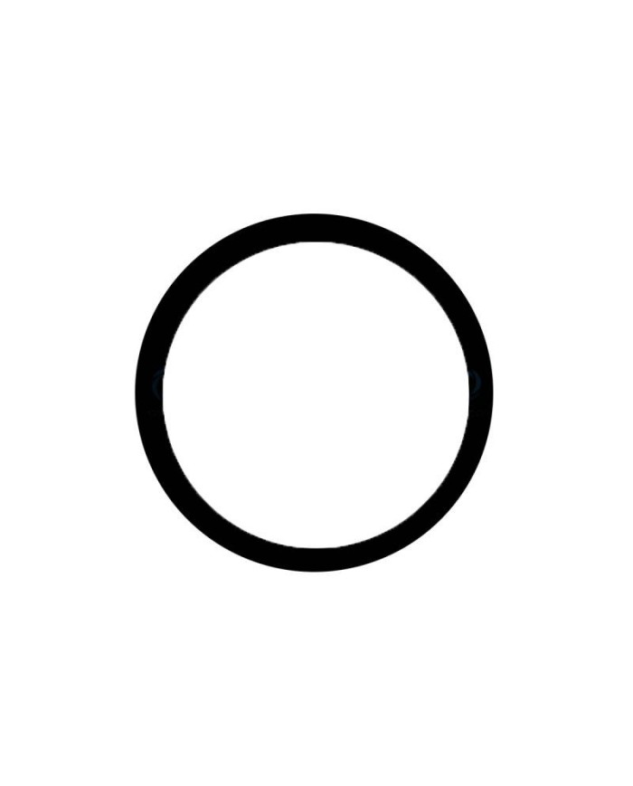 Comprar Lente Camara Trasera (Pequeño) iPhone 12 Pro