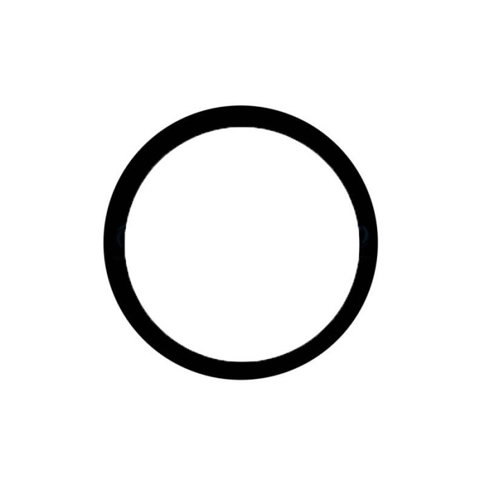 Comprar Lente Camara Trasera (Pequeño) iPhone 12 Pro