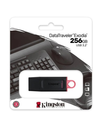Pendrive Kingston DataTraveler Exodia 256 GB USB 3.2