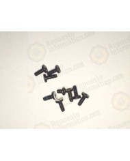 Pack tornillos  Ascend P2