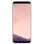 Samsung Galaxy S8 Plus (G955)