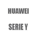 Serie Y